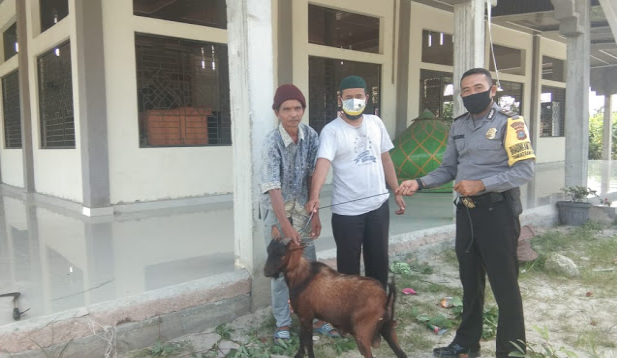 Polsek Bukit Raya Berikan 1 Ekor Kambing di Masjir Nurul Jannah Hari Raya Idul Adha Tahun 2020